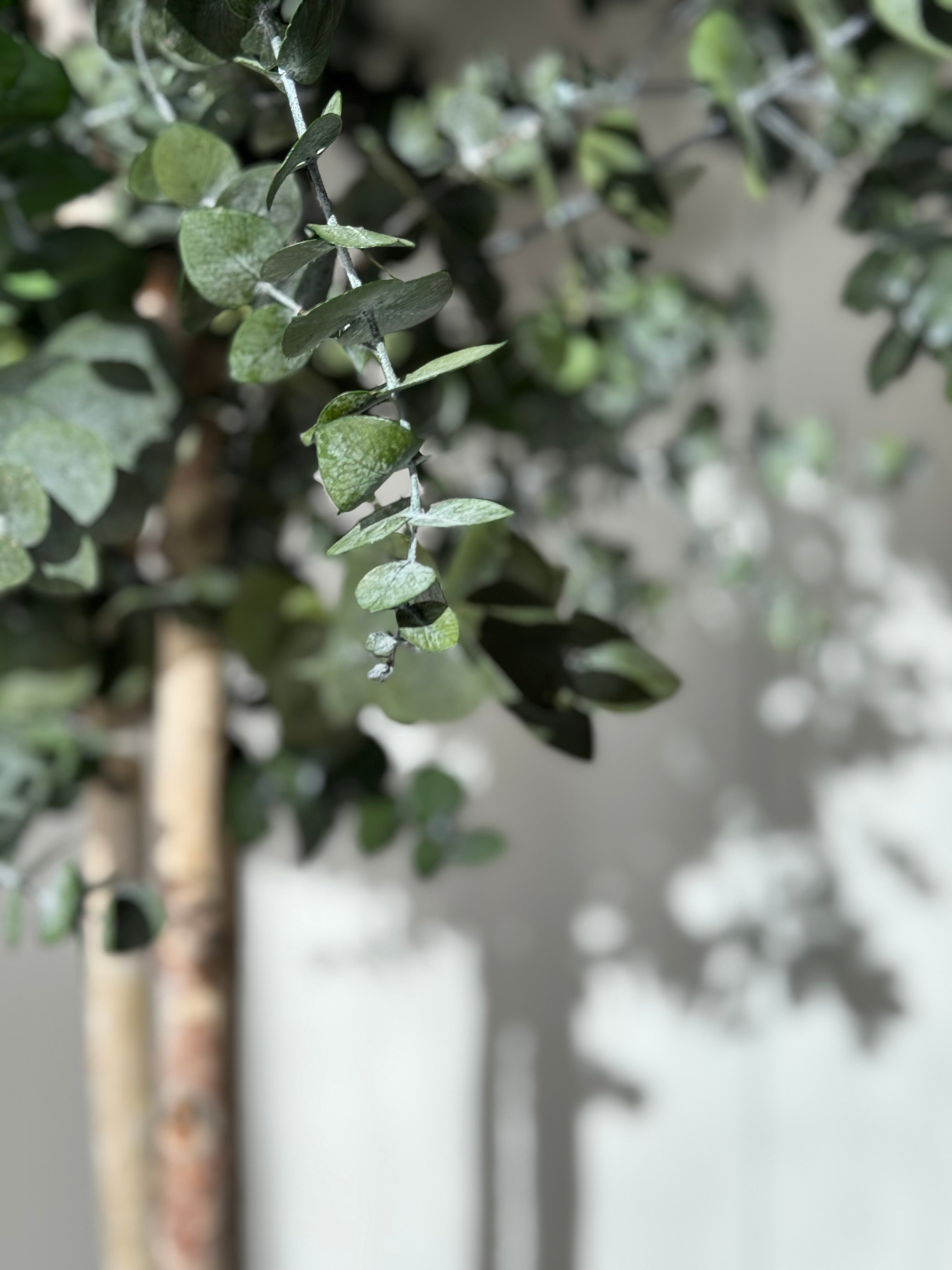 8 pezzi Piante grasse artificiali, piante finte per decorazione della
