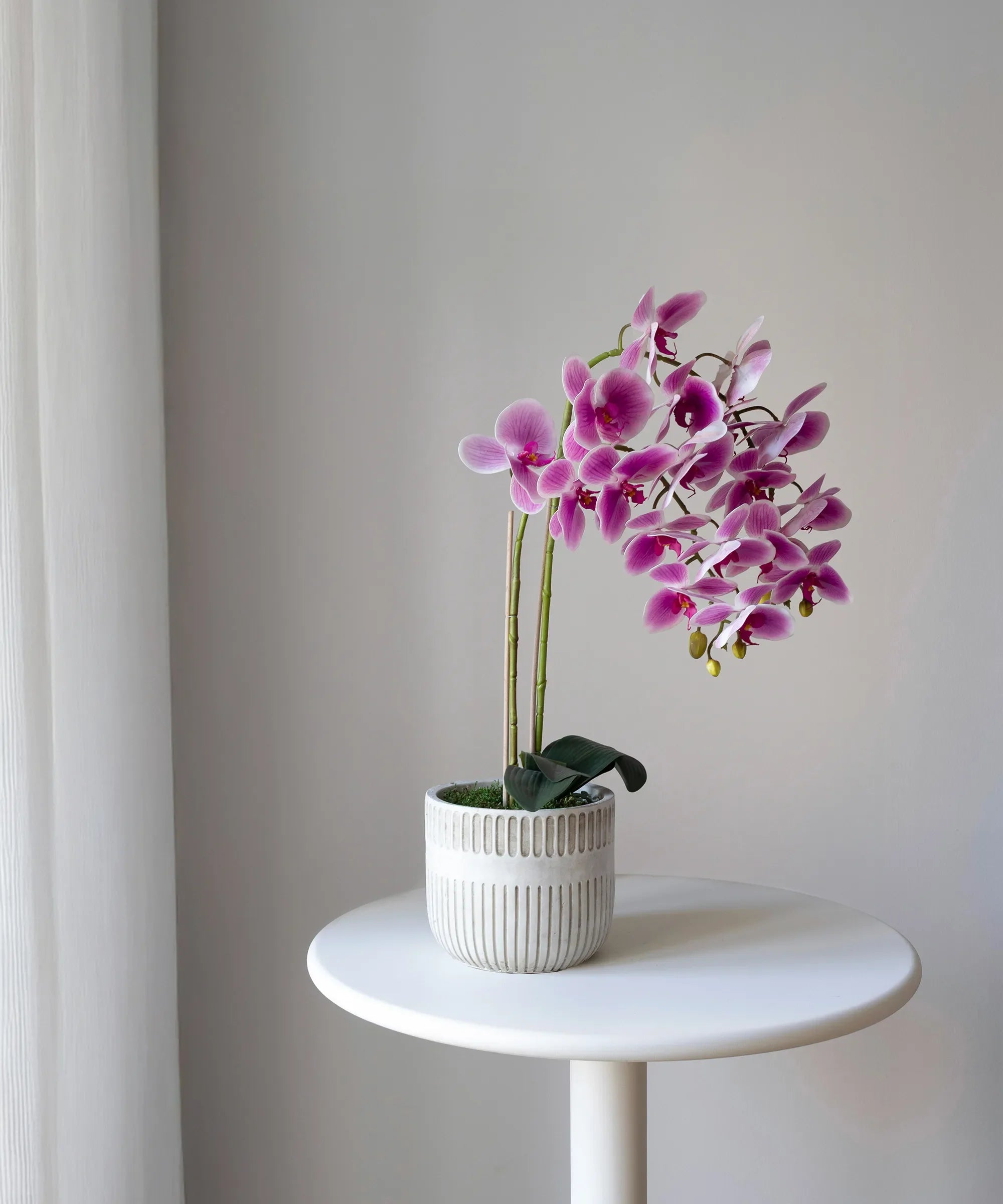 Orquídea artificial