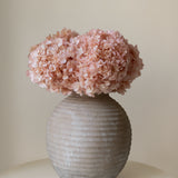 Ramo de Hortensias Preservadas