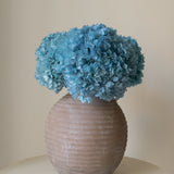 Ramo de Hortensias Preservadas