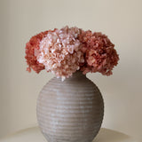 Ramo de Hortensias Preservadas