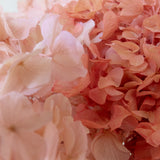 Ramo de Hortensias Preservadas