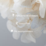 Ramo de Hortensias Preservadas