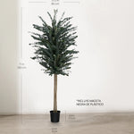 Árbol Eucalipto Preservado Baby 180 cm medidas