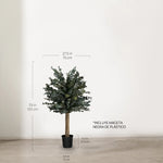 Árbol Eucalipto Preservado Essential 100 cm medidas