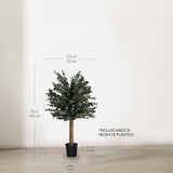 Árbol Eucalipto Preservado Essential 100 cm medidas