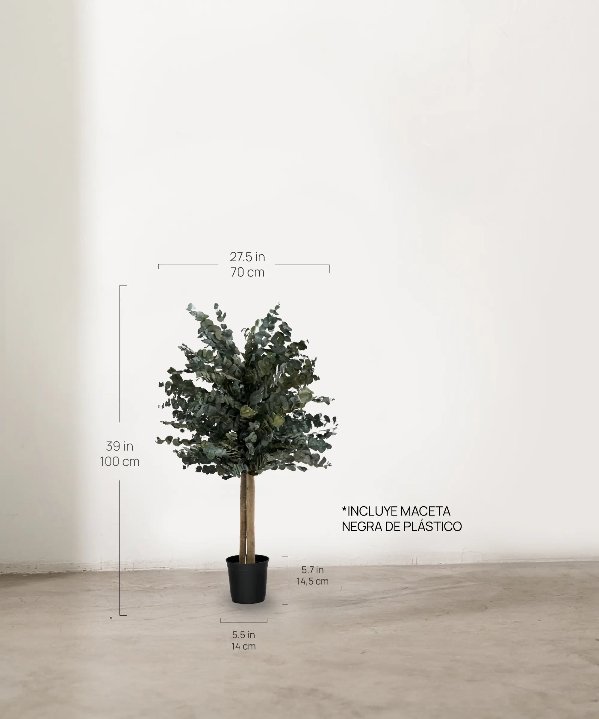 Árbol Eucalipto Preservado Essential 100 cm medidas