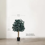 Árbol Eucalipto Preservado Round 100 cm medidas