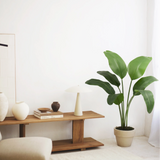 Ave del Paraiso Artificial 120 MAIA SHOP