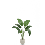 Ave del Paraiso Artificial 120 MAIA SHOP PNG