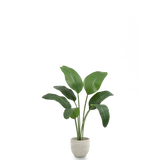 Ave del Paraiso Artificial 120 MAIA SHOP PNG