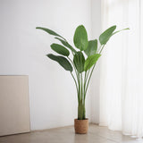 Ave del Paraiso Artificial 180 MAIA SHOP