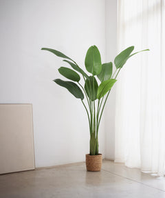 Ave del Paraiso Artificial 180 MAIA SHOP