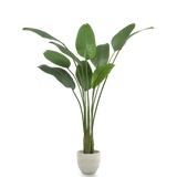 Ave del Paraiso Artificial 180 MAIA SHOP PNG