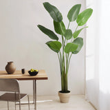 Ave del Paraiso Artificial 210 MAIA SHOP
