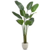 Ave del Paraiso Artificial 210 MAIA SHOP PNG