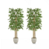 Pack Duo Bambu 150 cm MAIA SHOP
