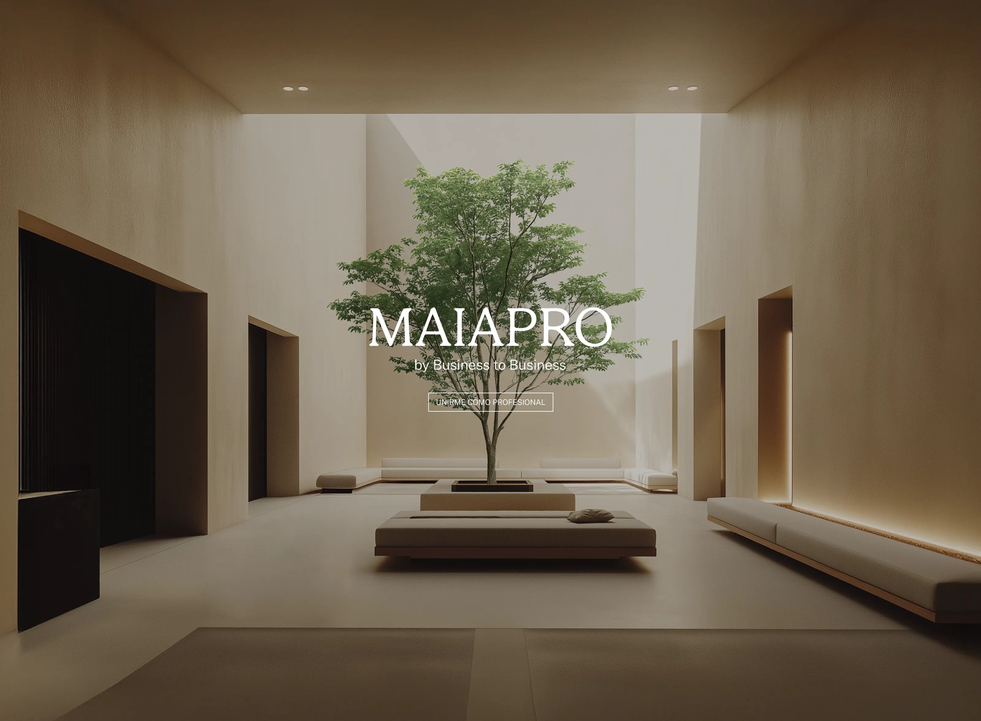Proyecto B2B MAIA SHOP MAIA PRO