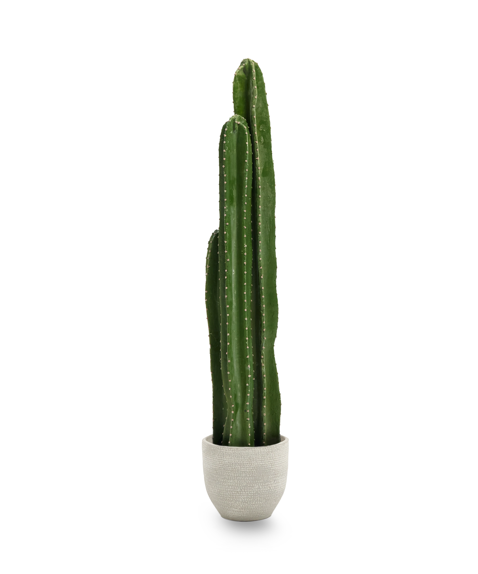 Cactus Artificial 100 MAIA SHOP