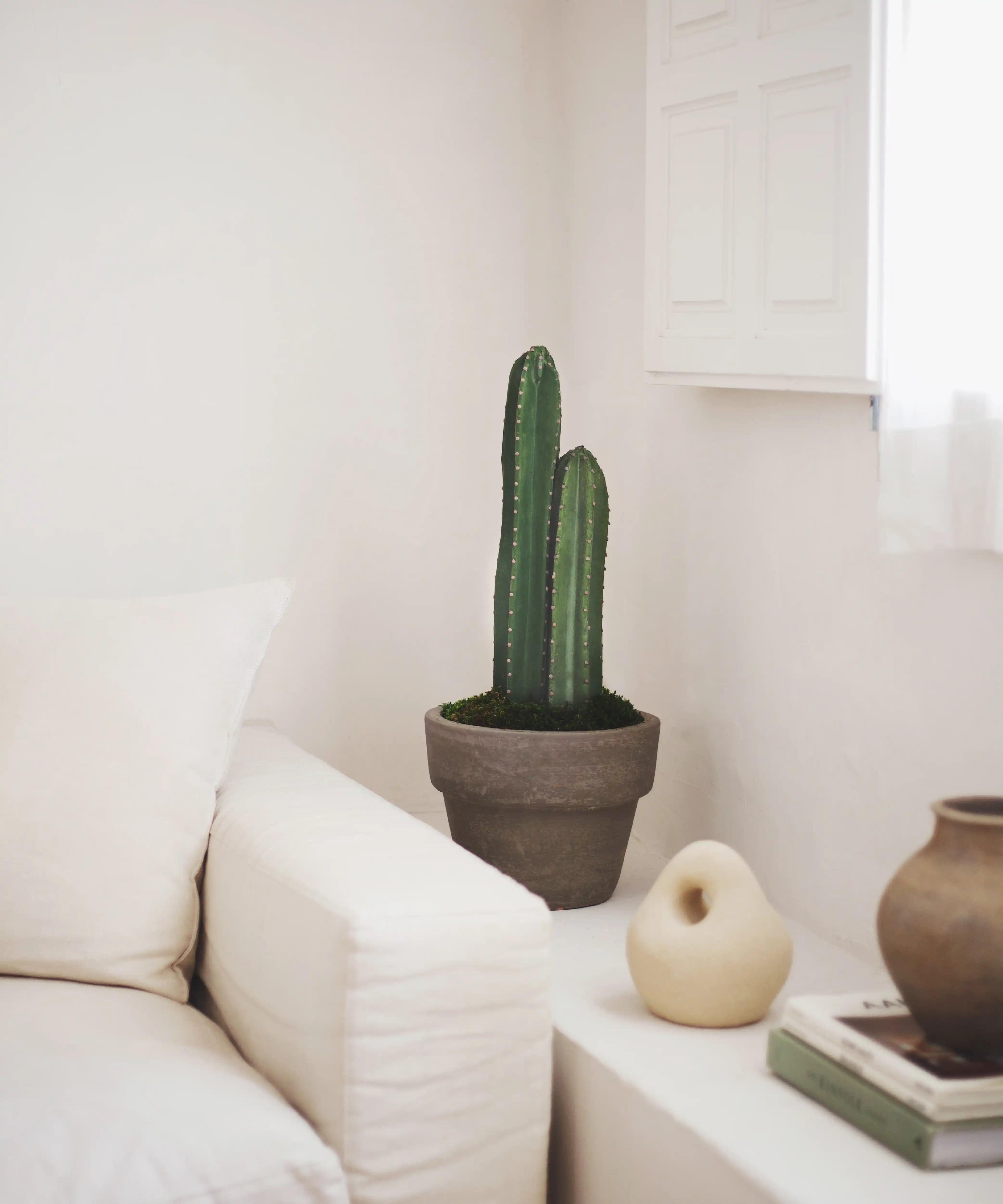 Cactus Artificial 70 MAIA SHOP
