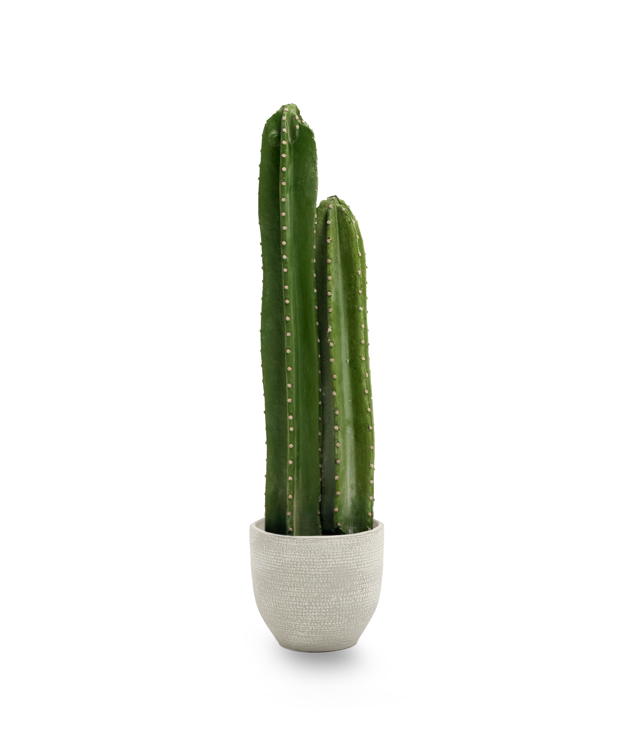 Cactus Artificial 70 MAIA SHOP PNG