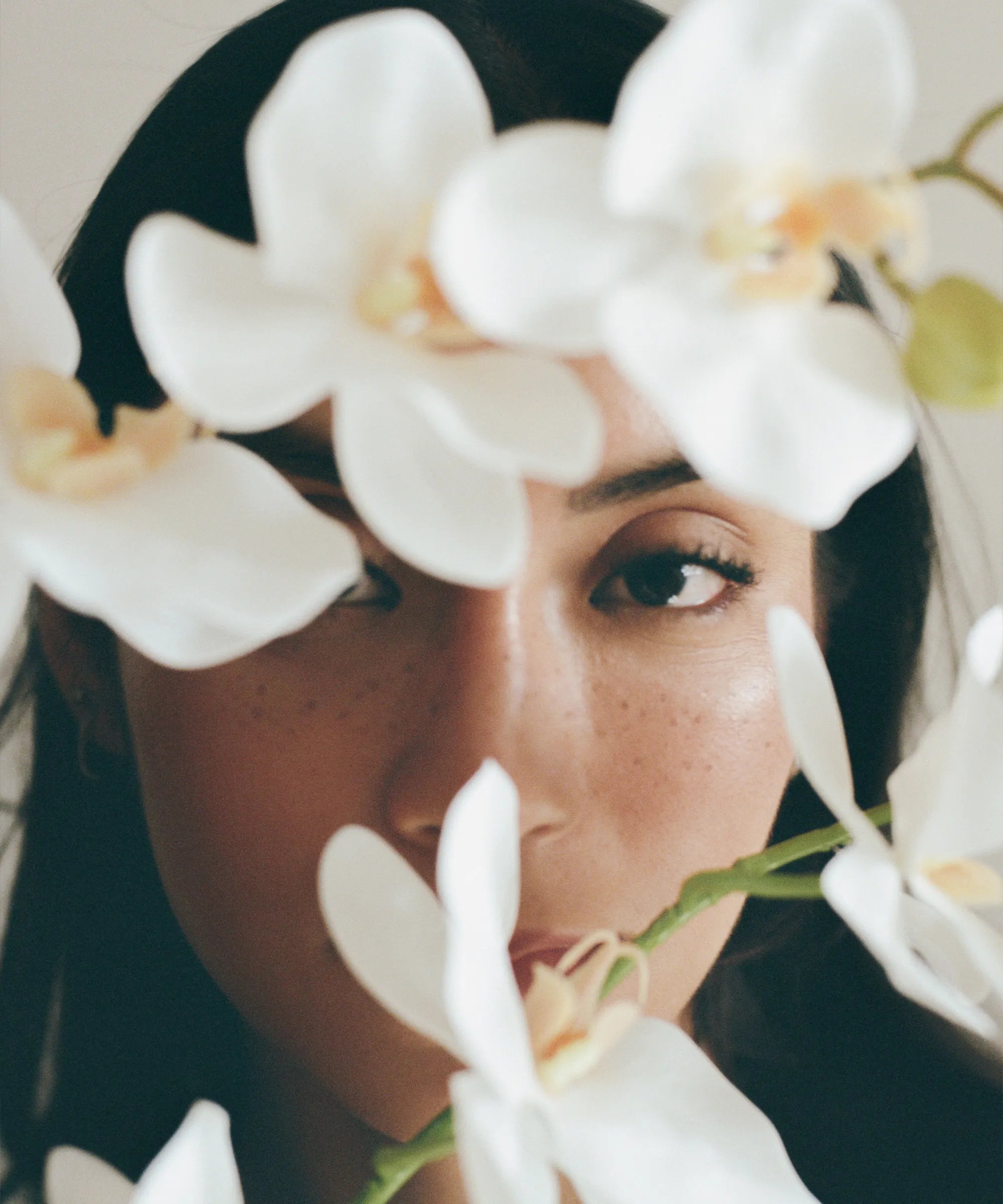 Campaña Orquideas MAIA SHOP