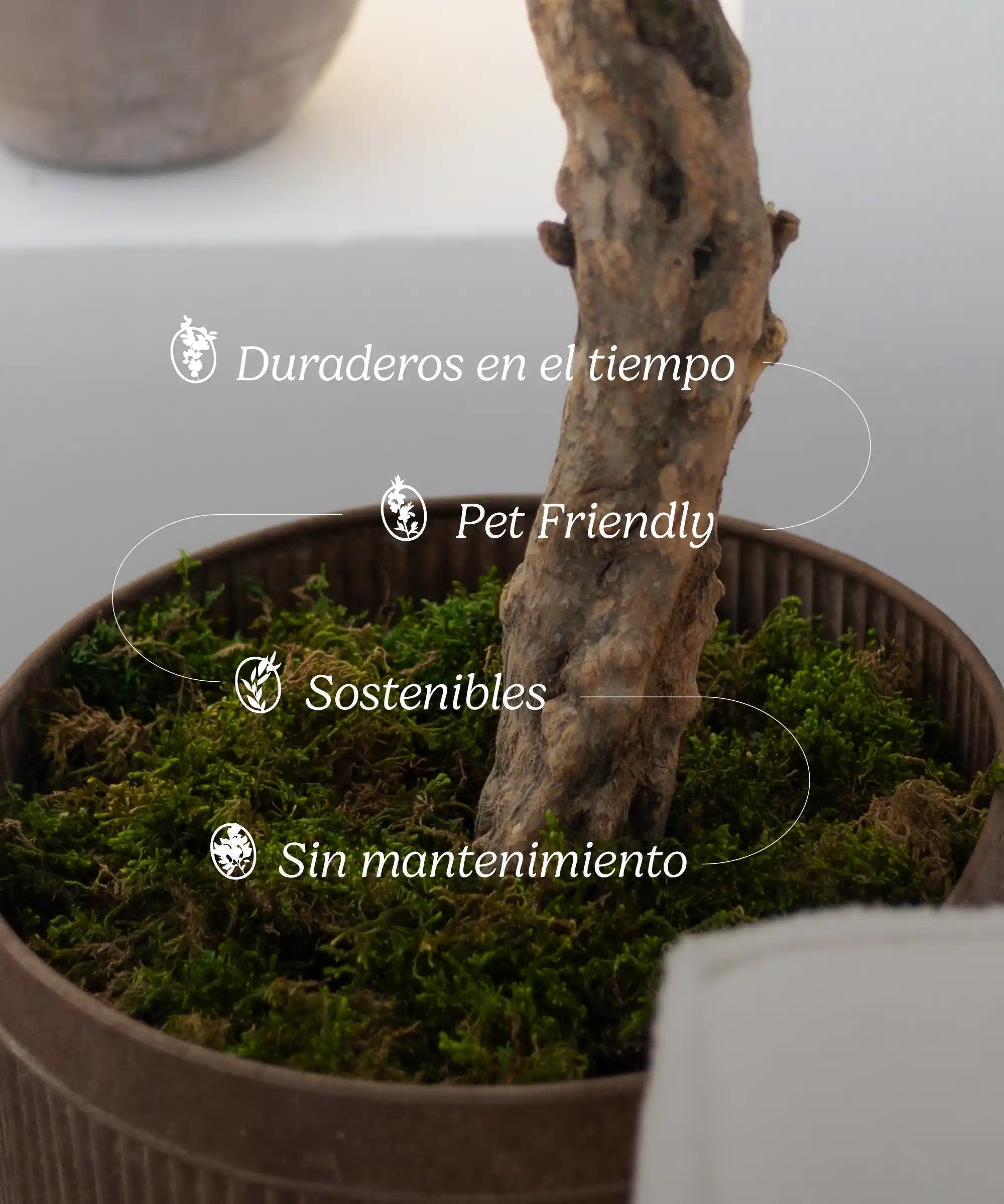 Caracteristicas Laurel Artificial 220 cm MAIA SHOP