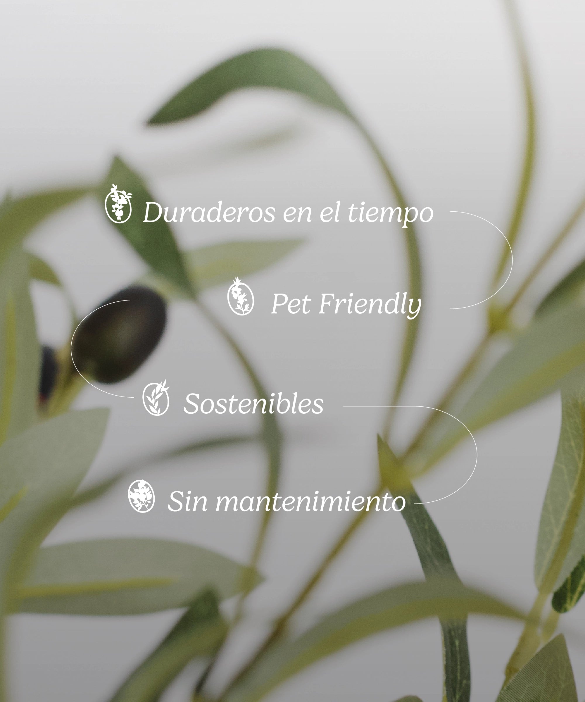 Caracteristicas Olivo Artificial Moon MAIA SHOP
