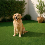 Césped Artificial Pet Friendly