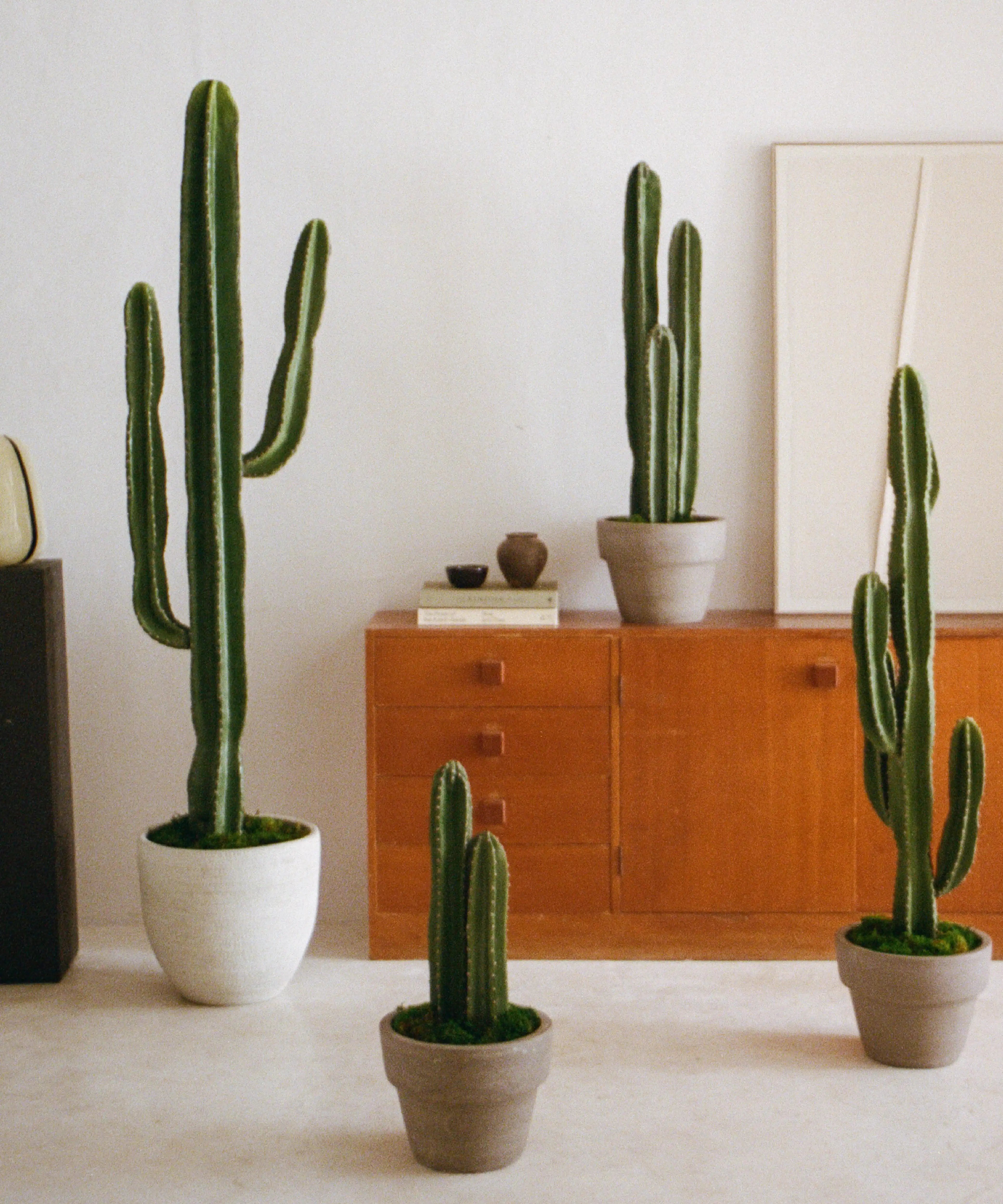 Coleccion Cactus Artificial MAIA SHOP