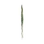 Colgante Artificial Rhipsalis MAIA SHOP Verde