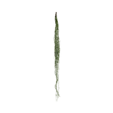 Colgante Artificial Rhipsalis MAIA SHOP Verde