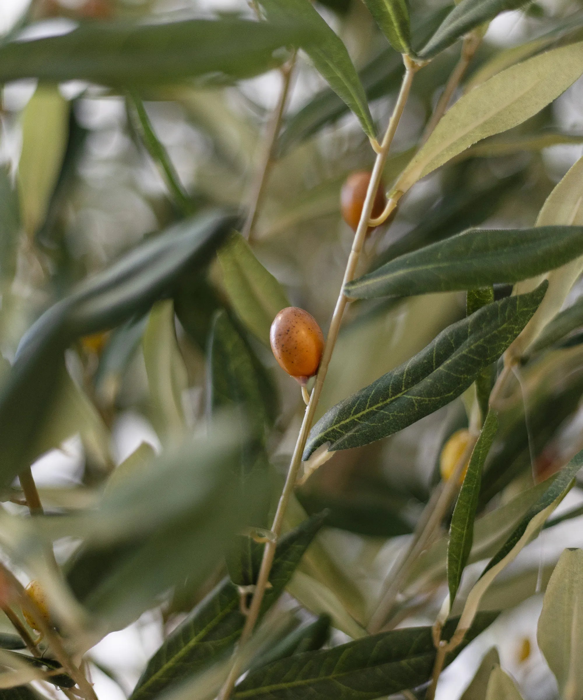 Detalle Aceituna Olivo Artificial Centennial 210cm