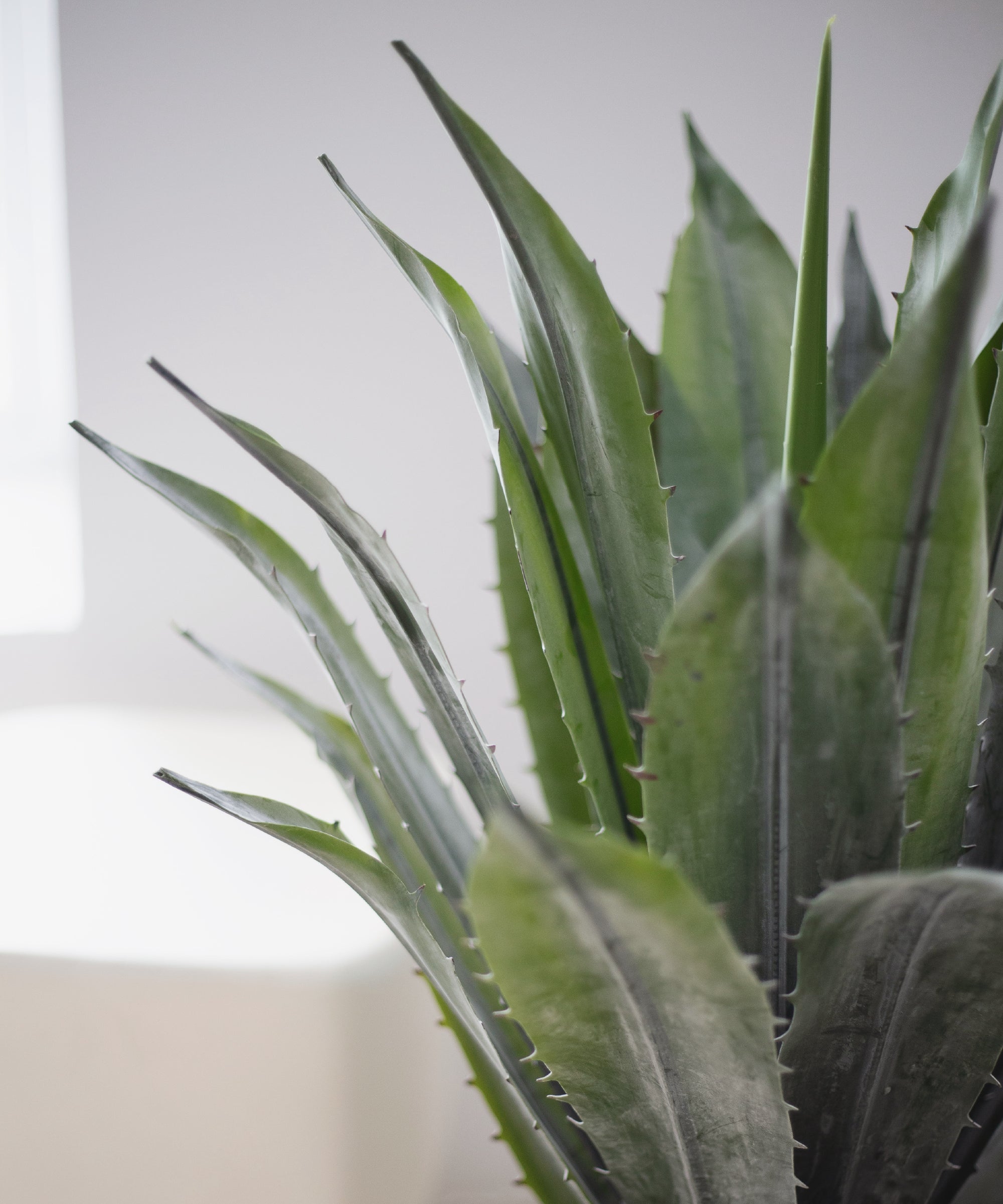 Detalle Hoja Agave Artificial MAIA SHOP
