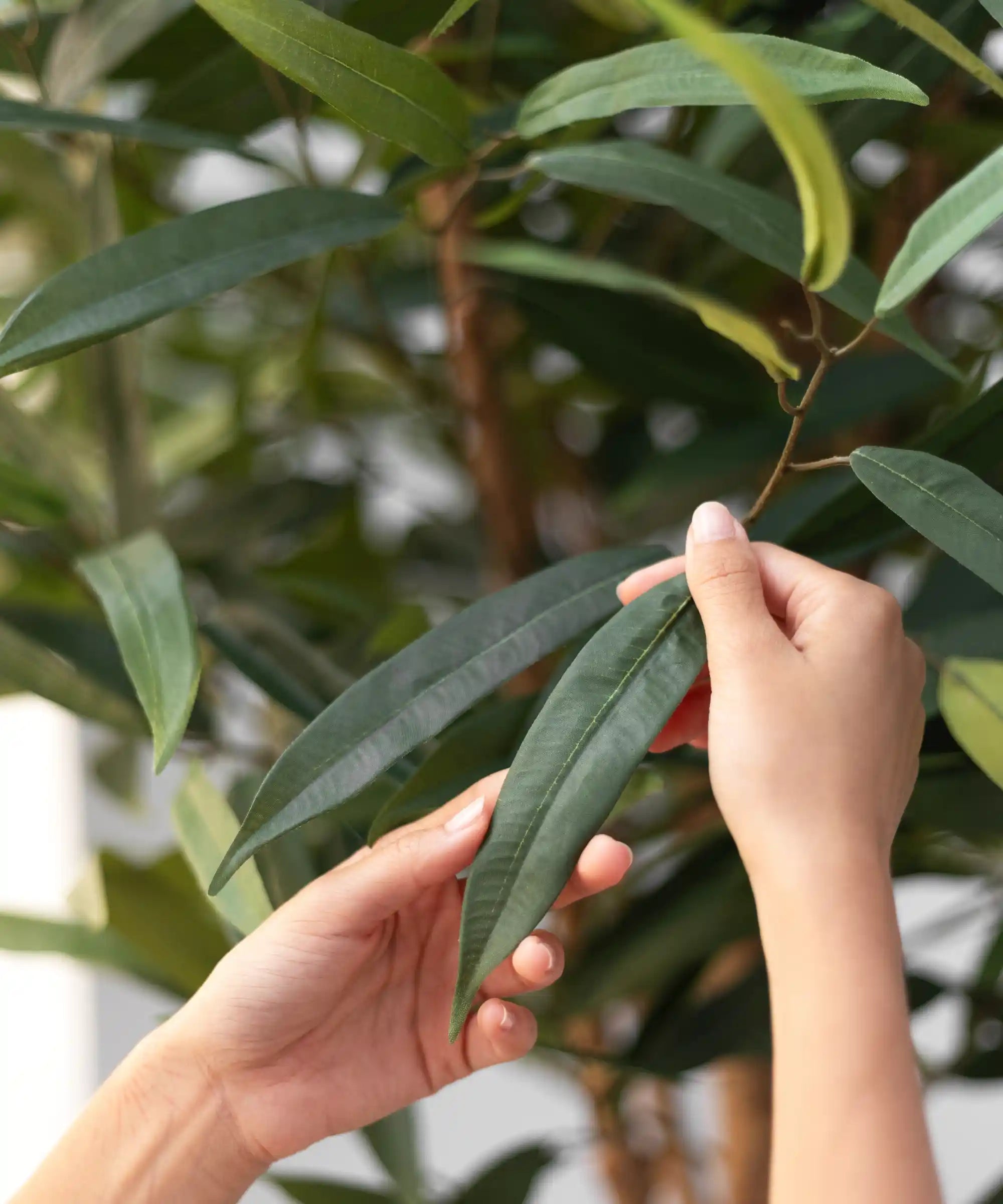 Detalle Hoja Laurel Artificial 220 cm MAIA SHOP