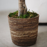 Detalle Maceta Mimbre Gaia MAIA SHOP