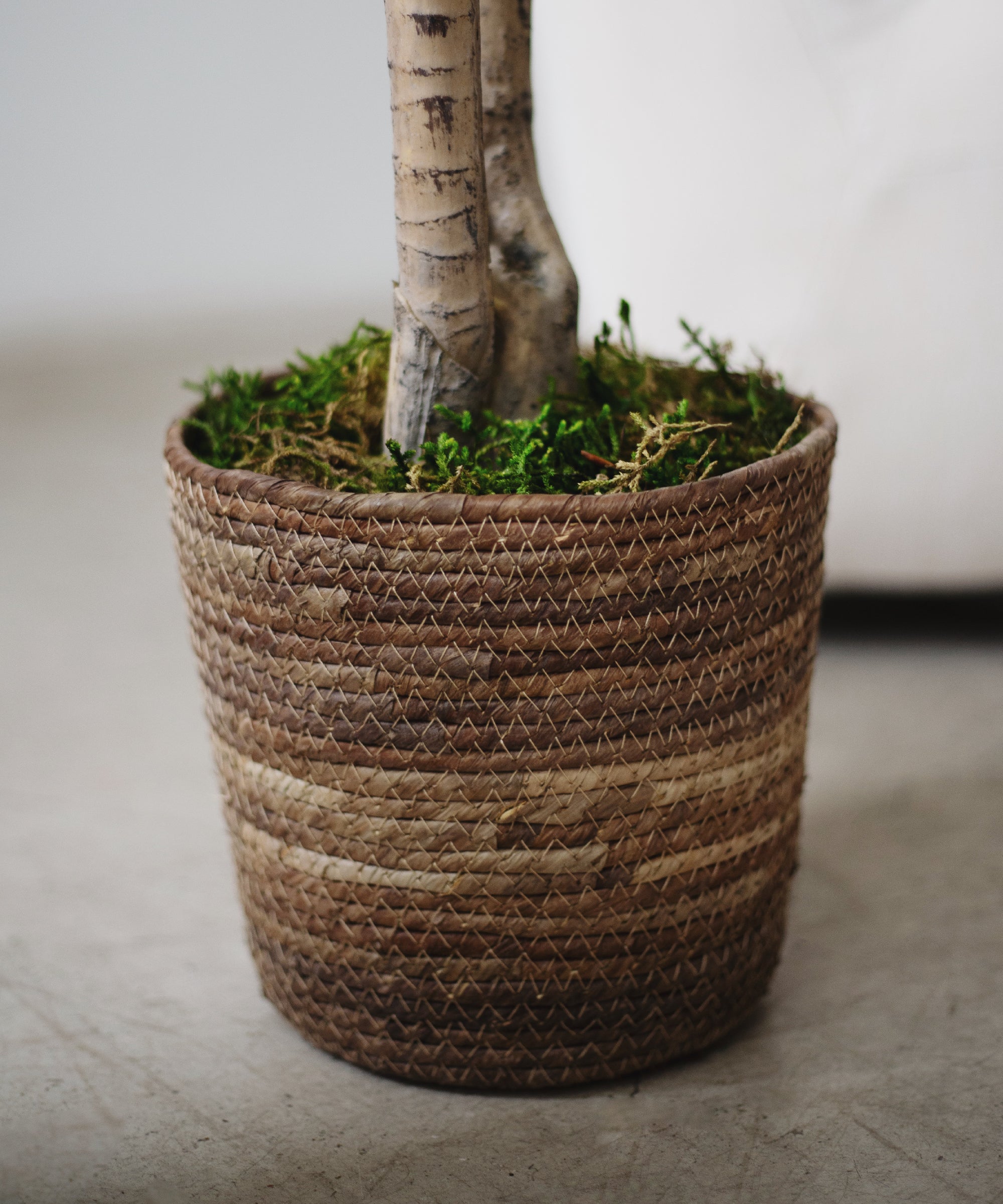 Detalle Maceta Mimbre Gaia MAIA SHOP