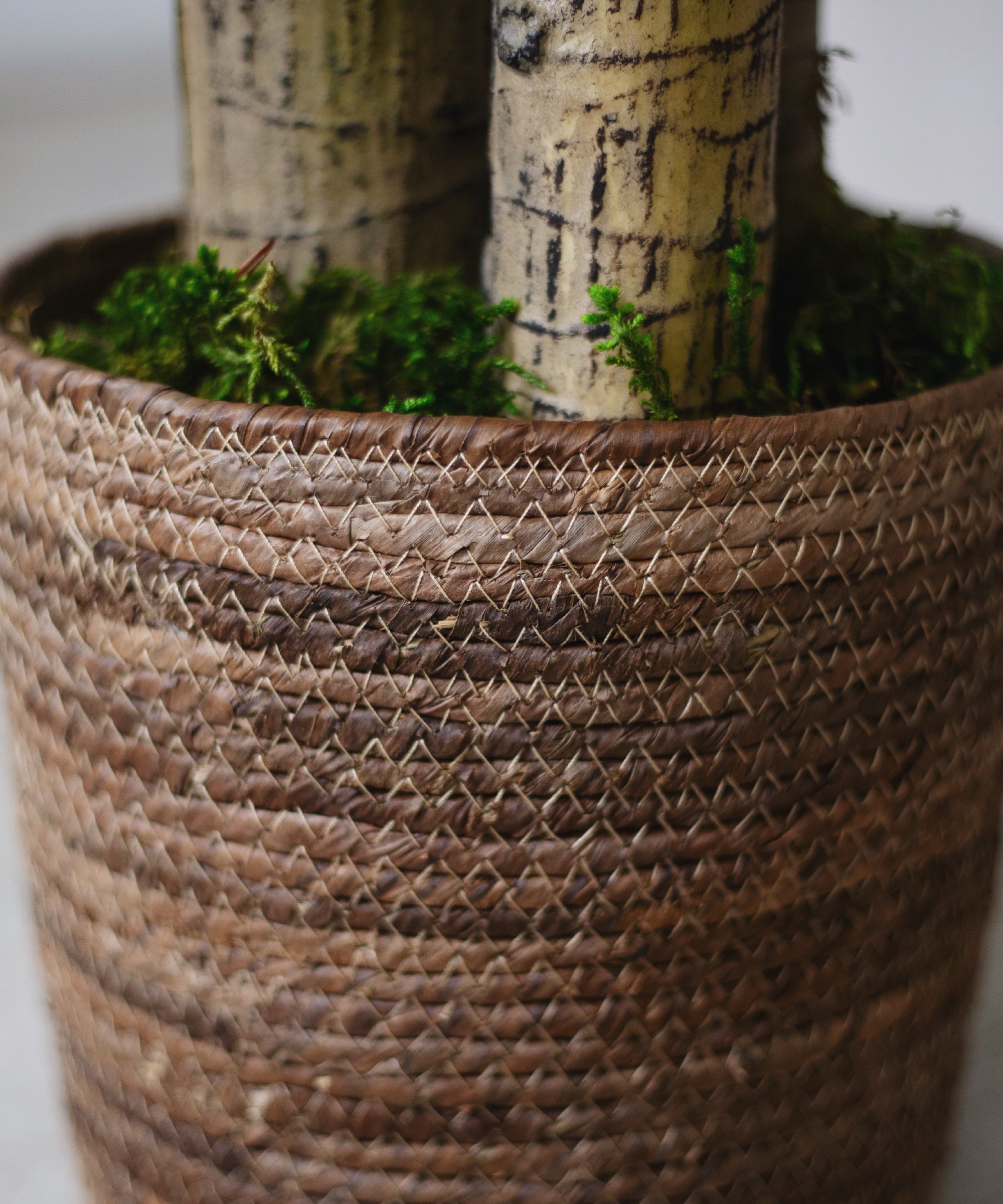 Detalle Maceta de Mimbre Gaia MAIA SHOP