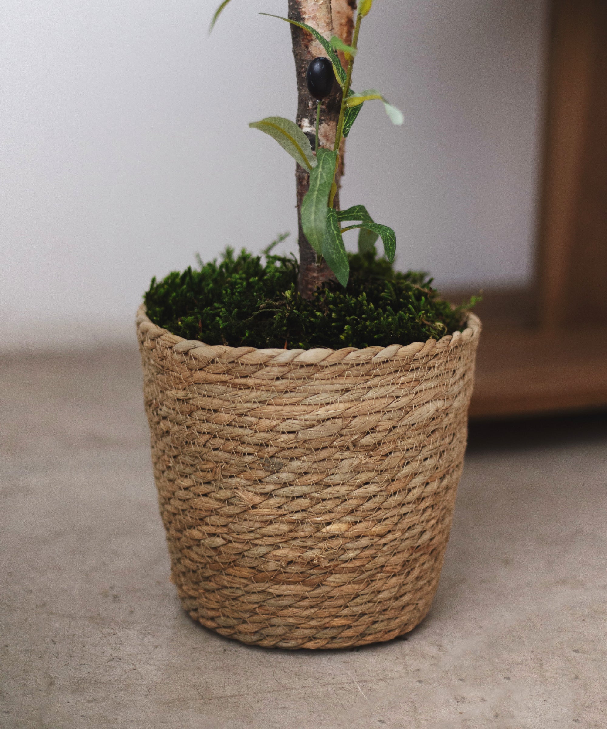Detalle Maceta de Mimbre Lia MAIA SHOP