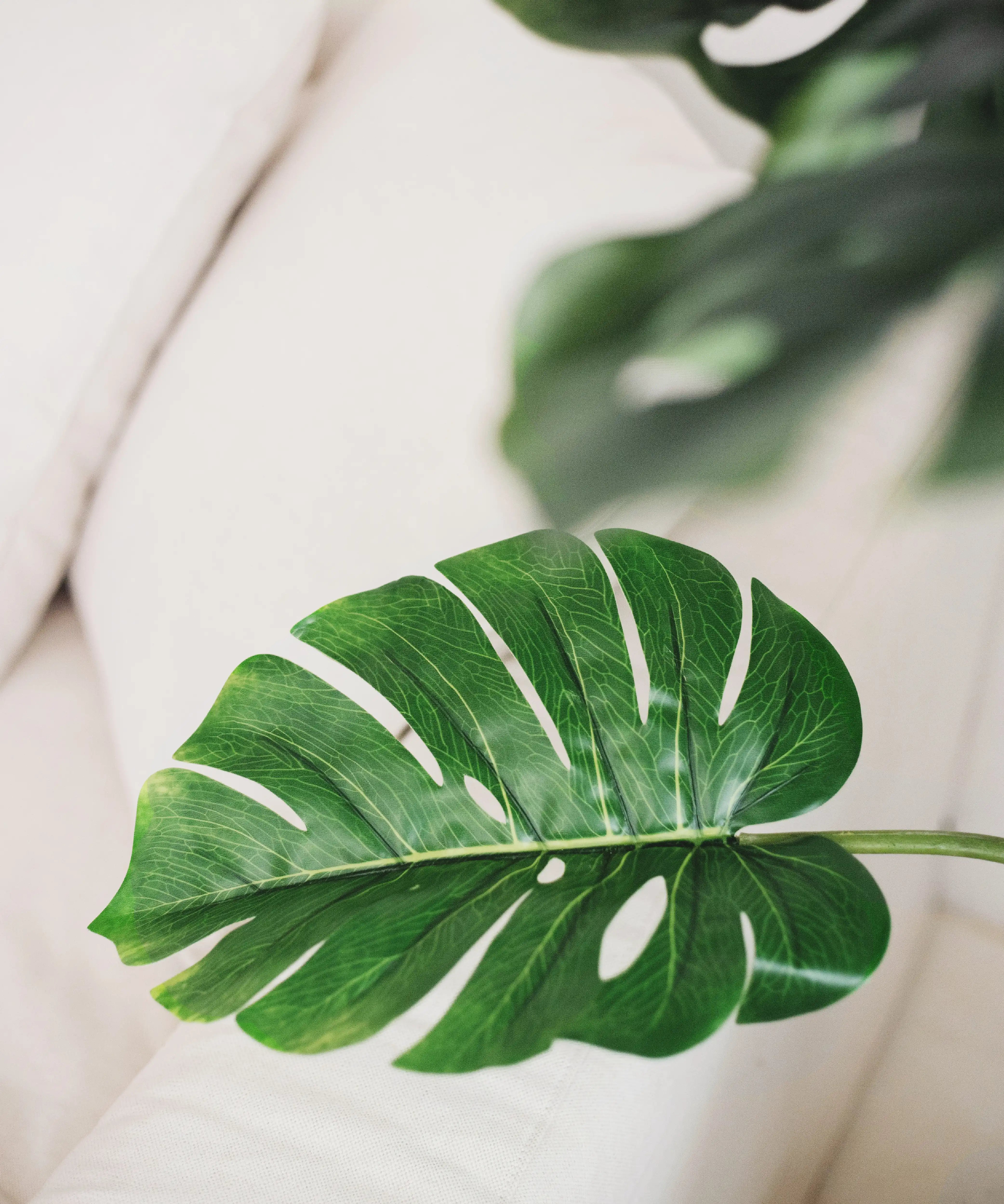 Detalle Monstera Artificial 120 MAIA SHOP
