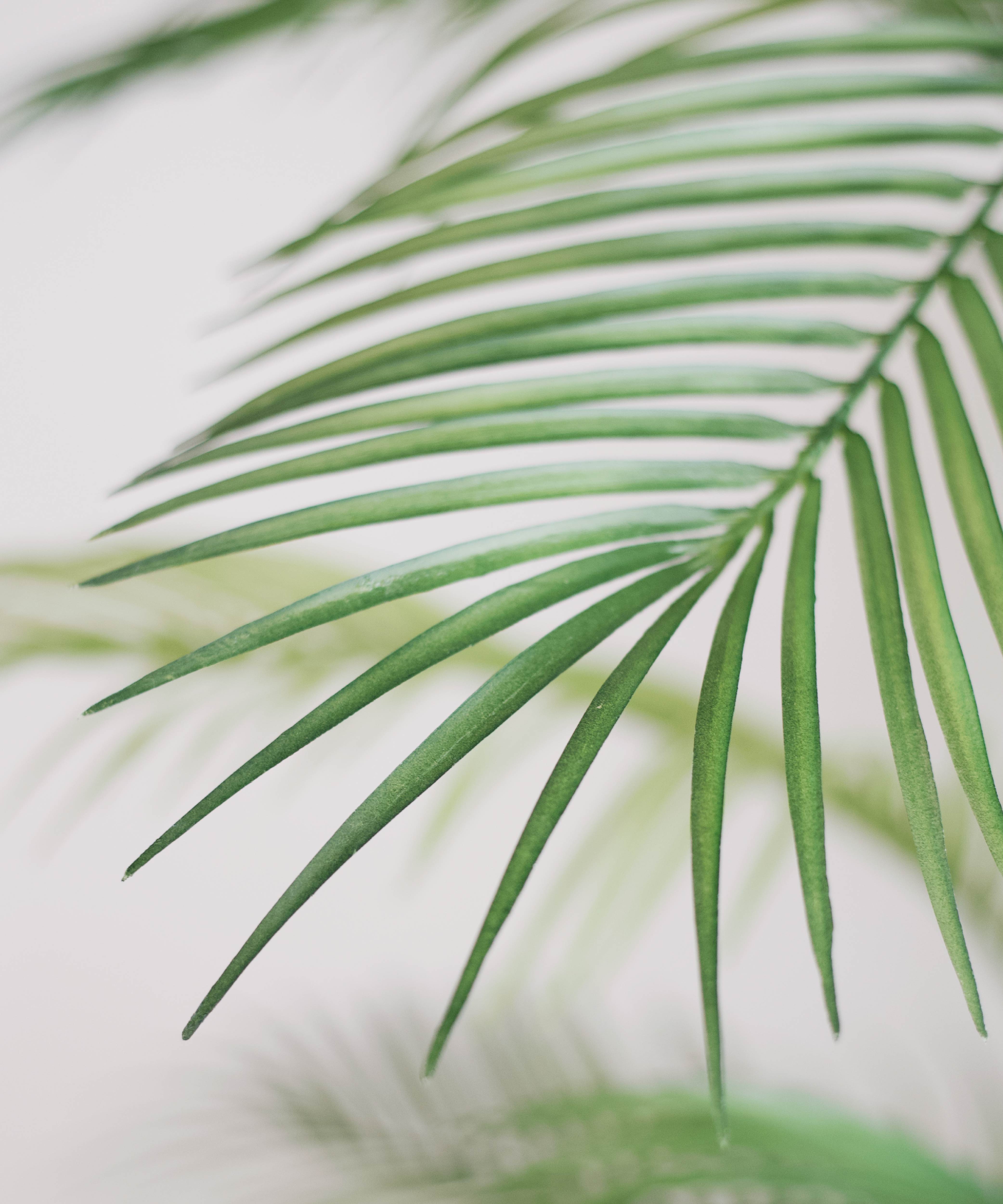 Detalle Palmera Artificial MAIA SHOP