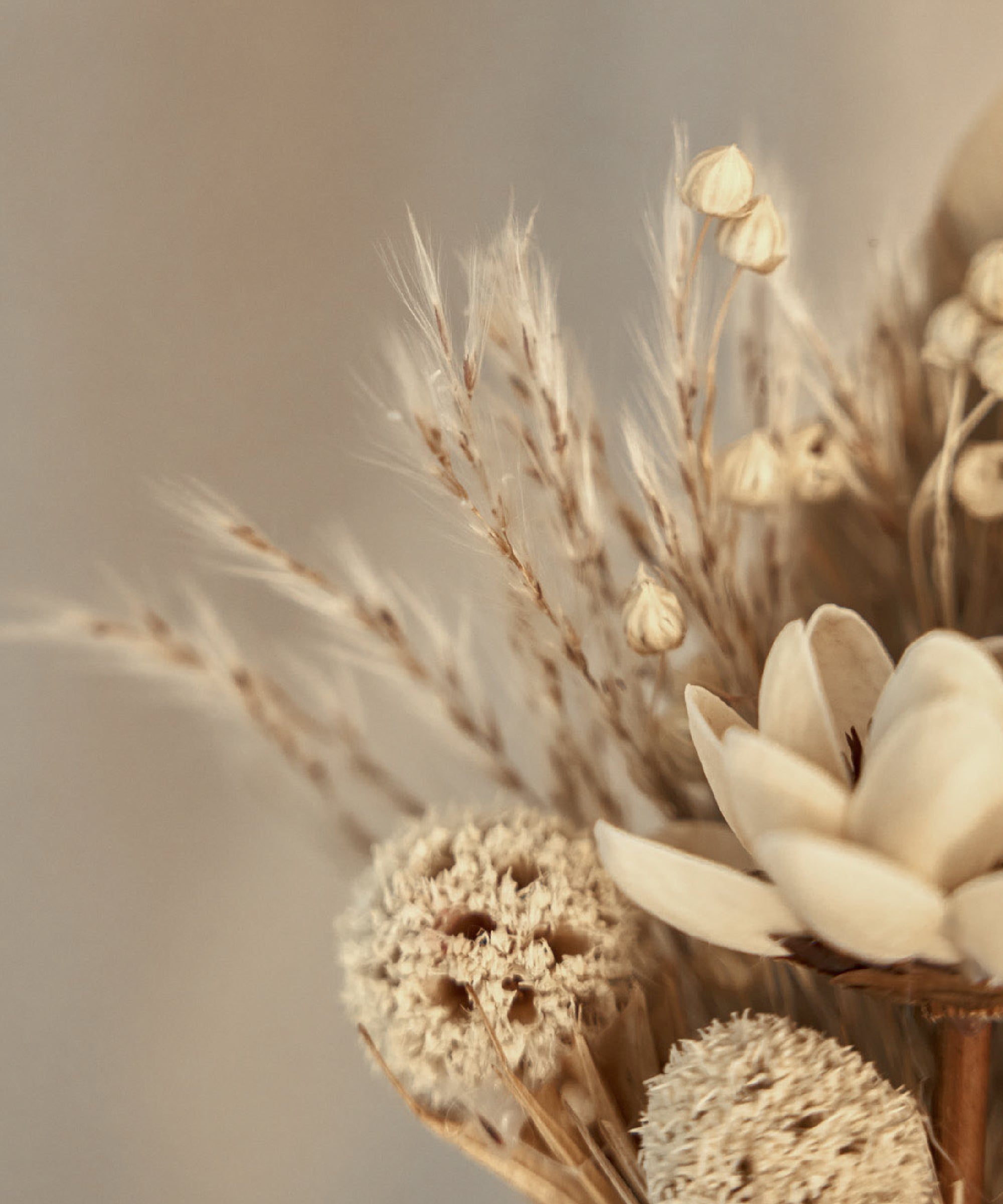 Detalle Ramo Preservado Harmony MAIA SHOP