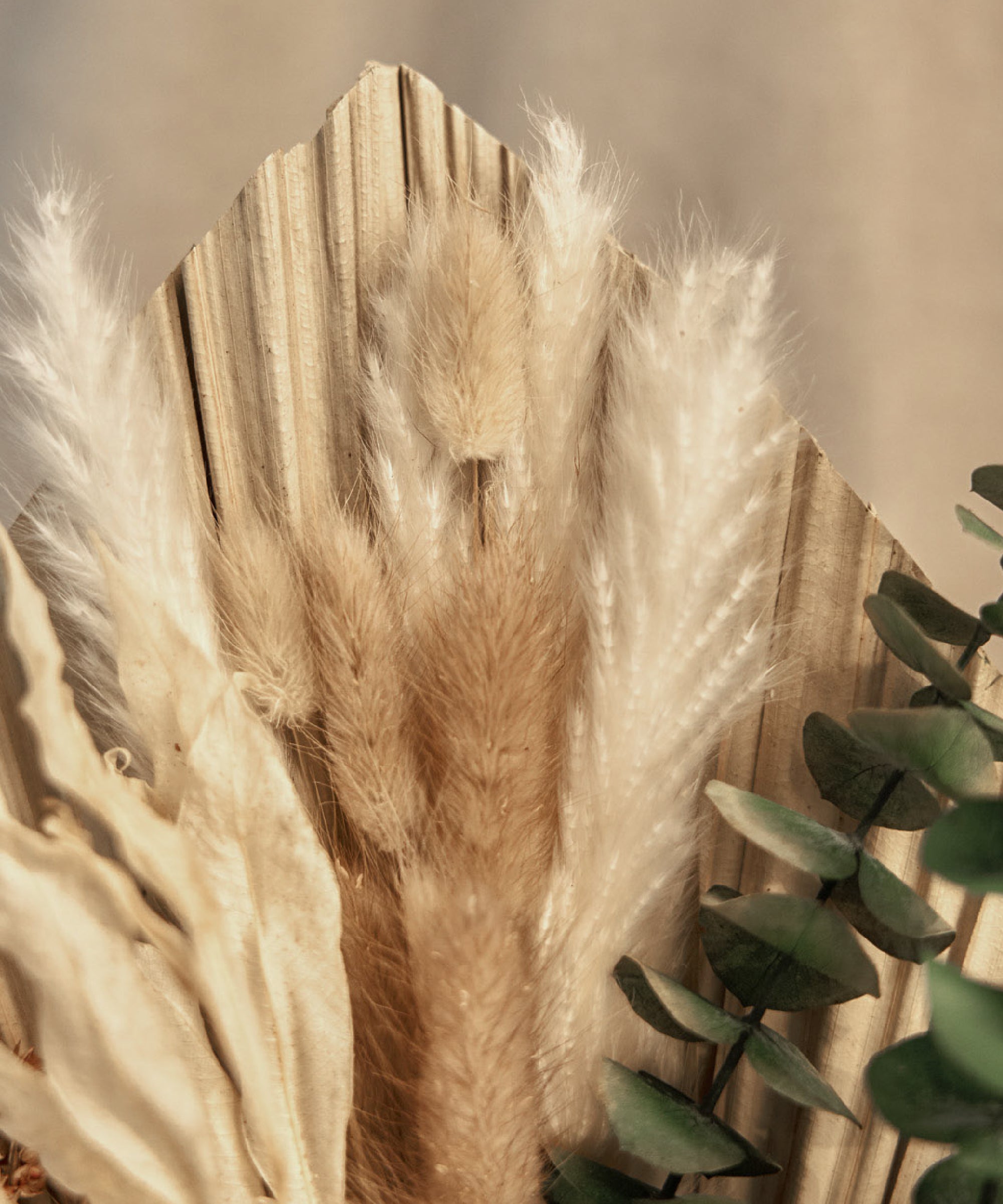Detalle Ramo Preservado Nature MAIA SHOP