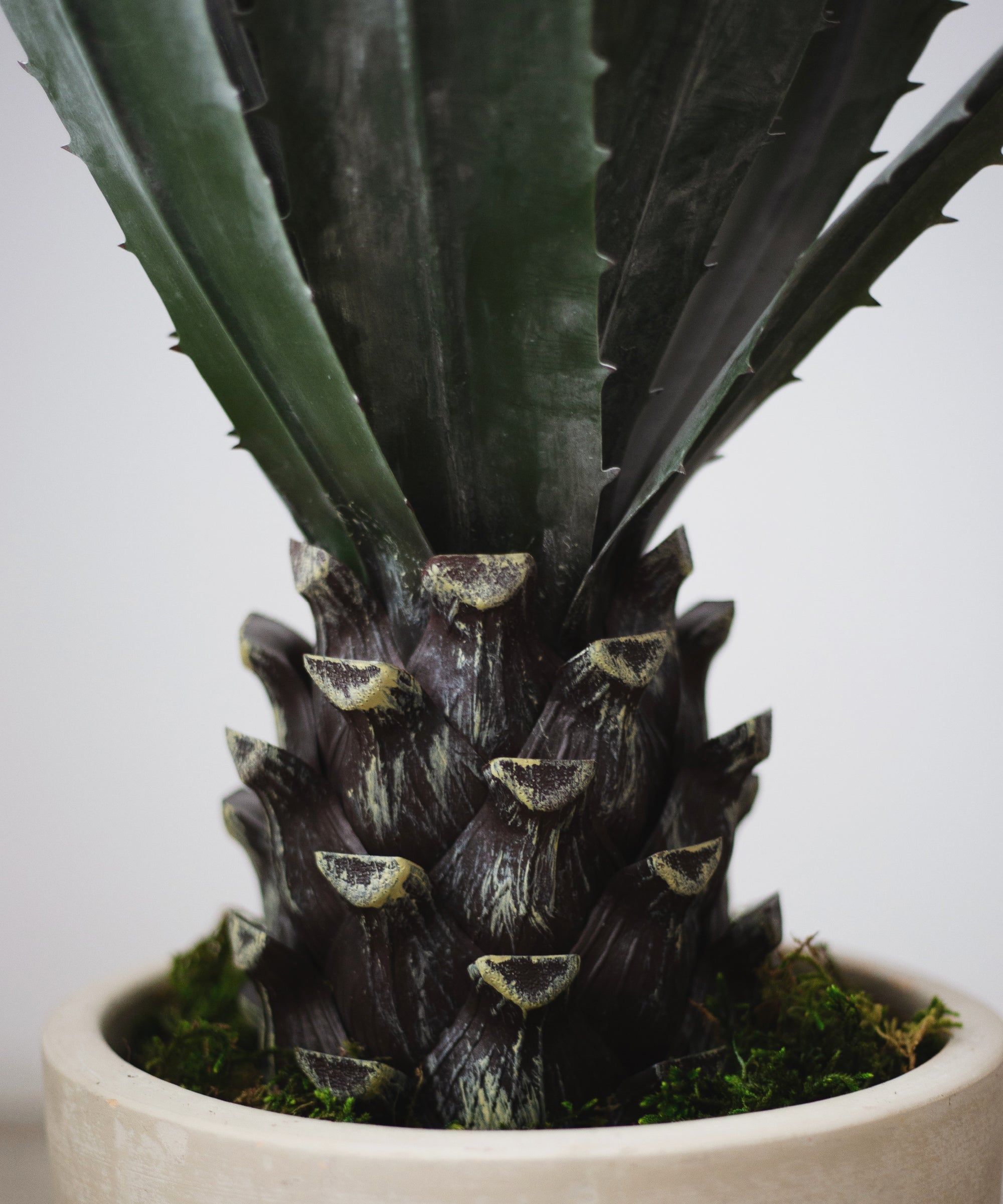 Detalle Tronco Agave Artificial MAIA SHOP
