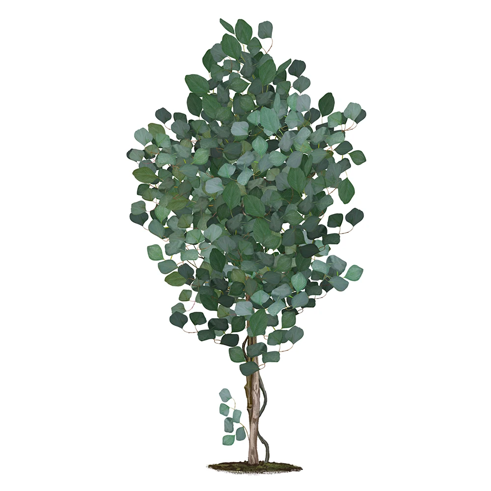 eucalipto artificial maiashop