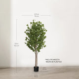 Eucalipto Artificial 150cm MAIA SHOP