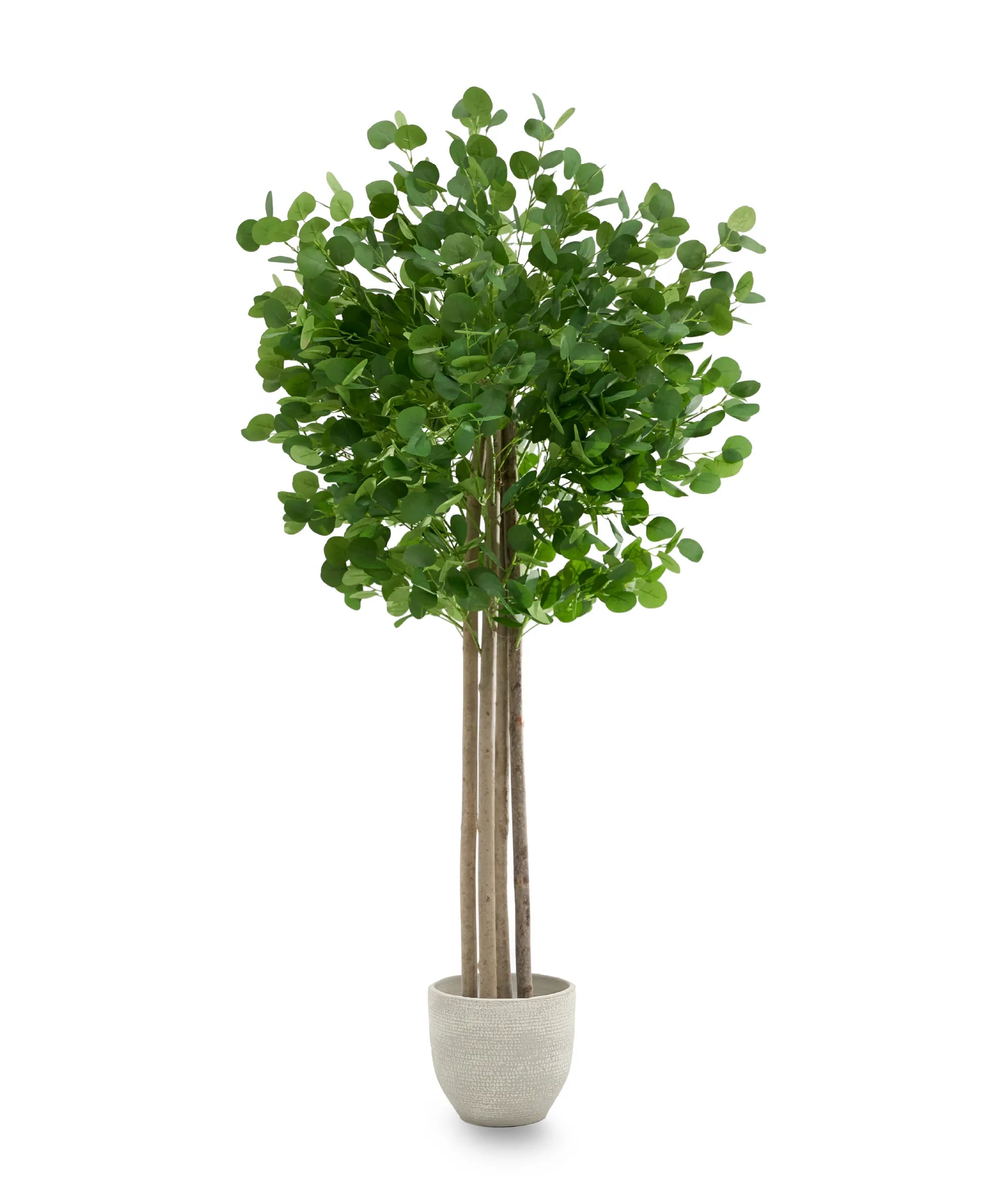 Eucalipto Artificial 185 cm MAIA SHOP