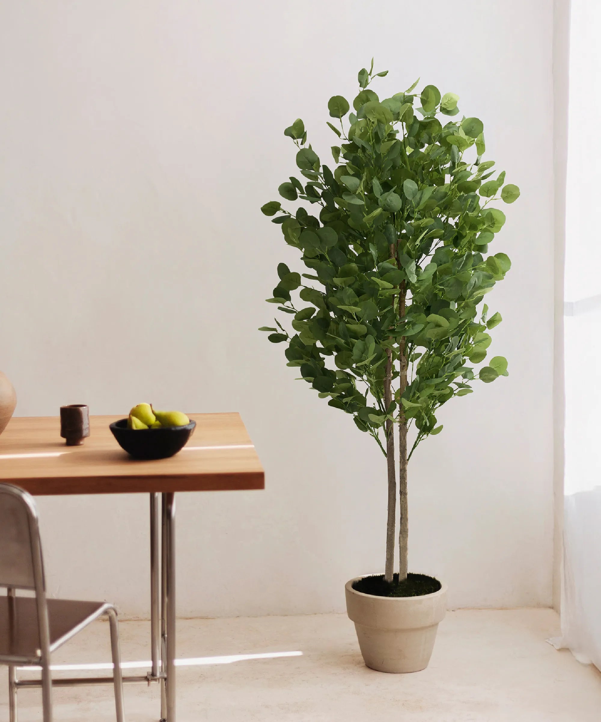 Eucalipto Artificiale 150 cm MAIA SHOP - Main Image