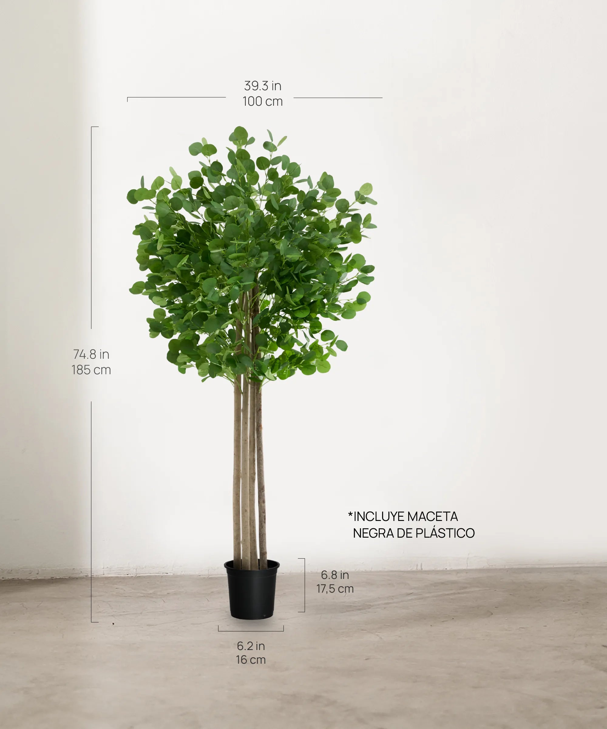 Eucalipto Artificial MAIA SHOP 185 cm