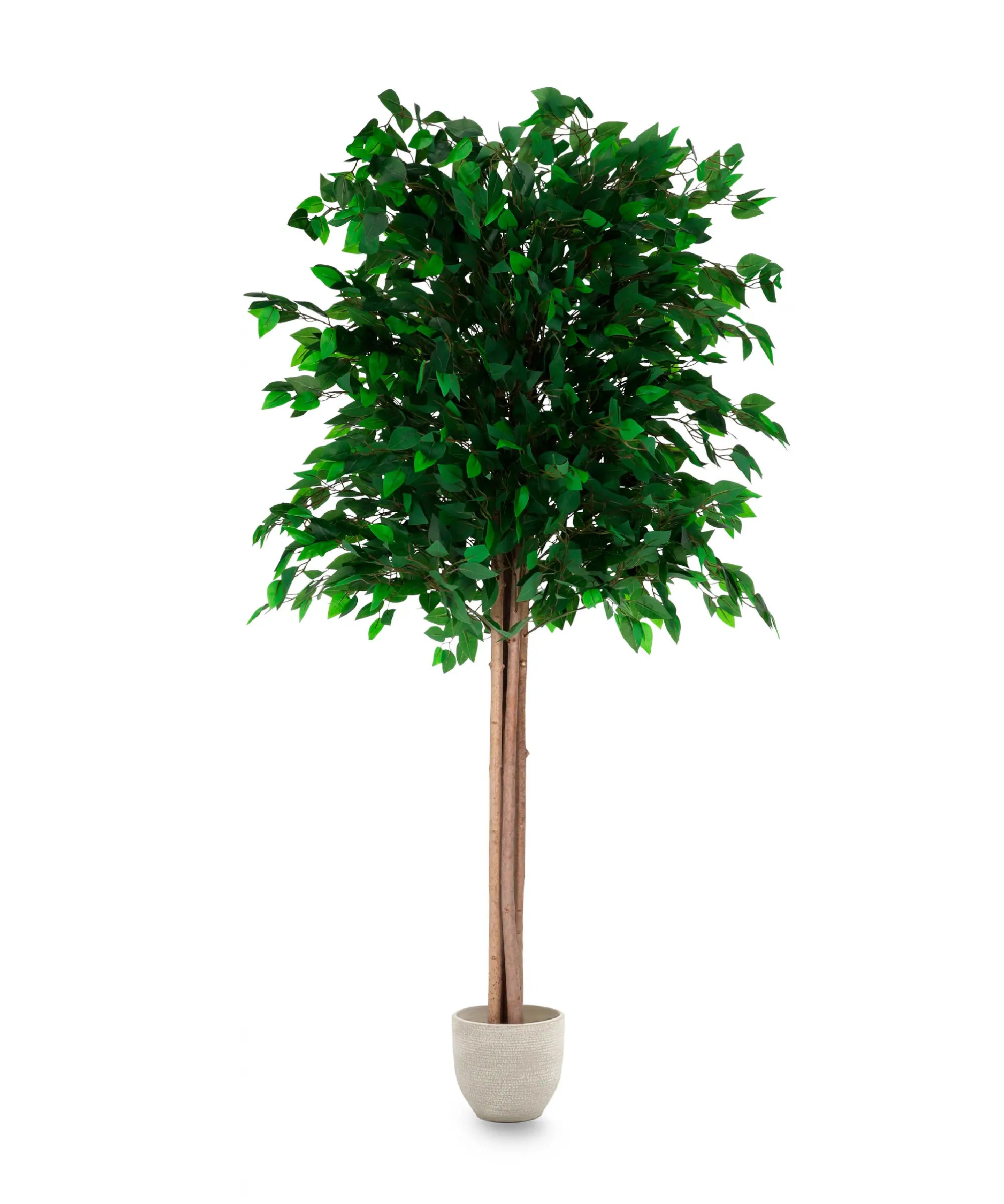 Ficus Artificial MAIA SHOP